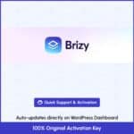 Brizy Pro