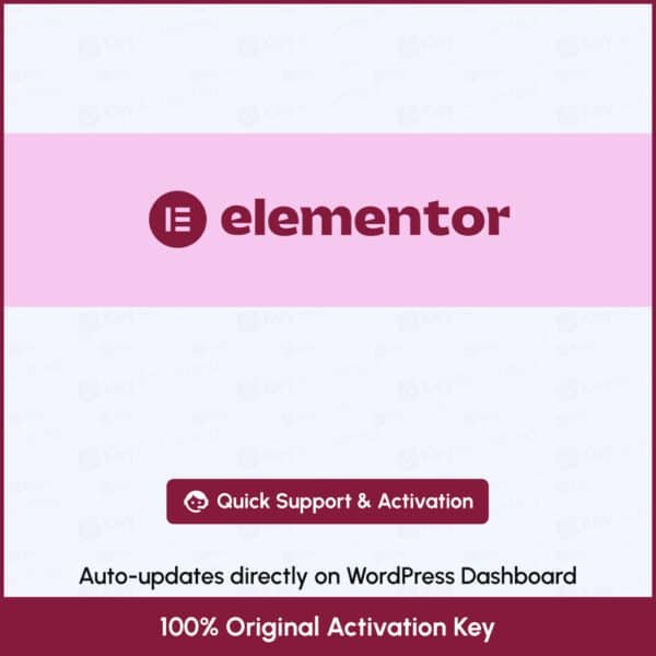 Elementor Pro