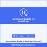Advanced Scripts manager